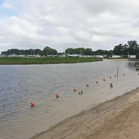Lake View אלבורח