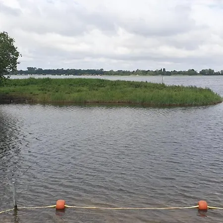 Lake View אלבורח